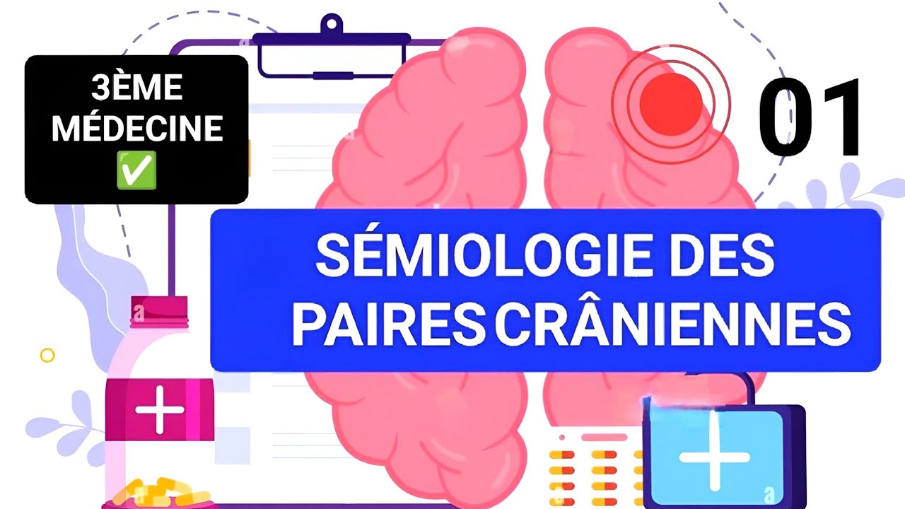 SÉMIO-NEURO🧠: SÉMIOLOGIE DES PAIRES CRÂNIENNES (01)..3ÈME MÉDECINE✅..Unité2🧠🦴🩺