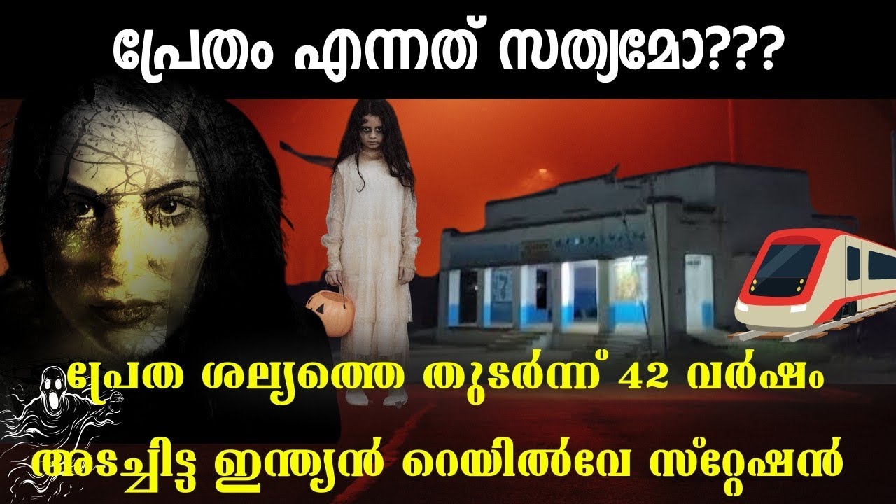 വിശ്വസിക്കാൻ ബുദ്ധിമുട്ട് തോന്നുന്ന സത്യകഥ |Crime detective Rebin|True crime story|