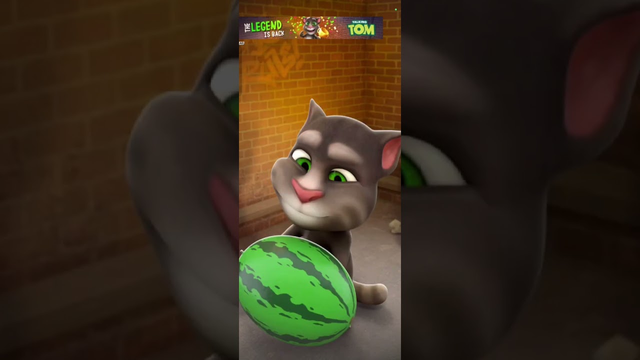 My Talking Tom -- Funny Movement Colors -- Gameplay Mobile