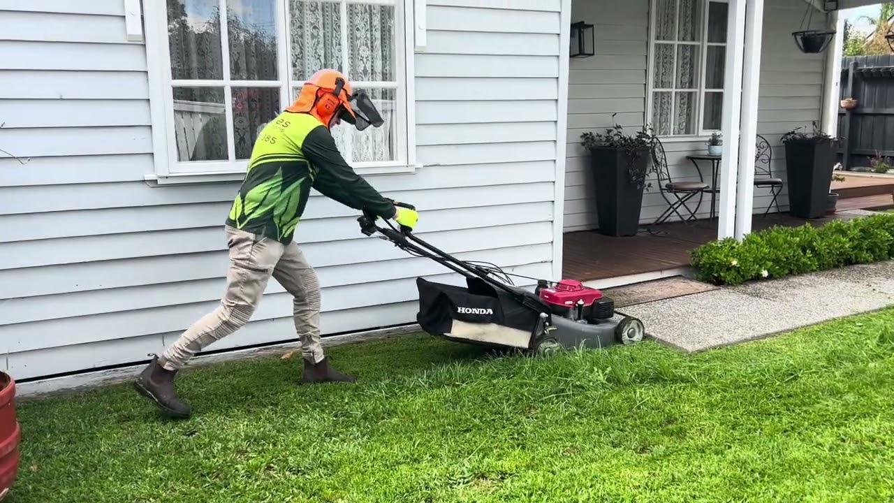Mulching Lush Green Grass With A 21” Honda Lawn Mower