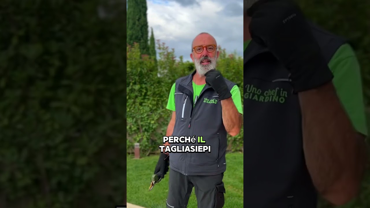 Siepe svuotata 😱??? Fai cos&igrave; adesso! #siepe #giardinaggio #potatura