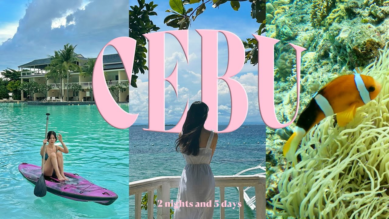 𝙏𝙧𝙖𝙫𝙚𝙡𝙤𝙜 🐠🫧바쁘다 바빠 2박5일 세부 여행 • 플랜테이션베이 • 모알보알 호핑 • 고래상어 투어 • 투말록 폭포 • 세부 환전팁 • 플라워트리 마사지