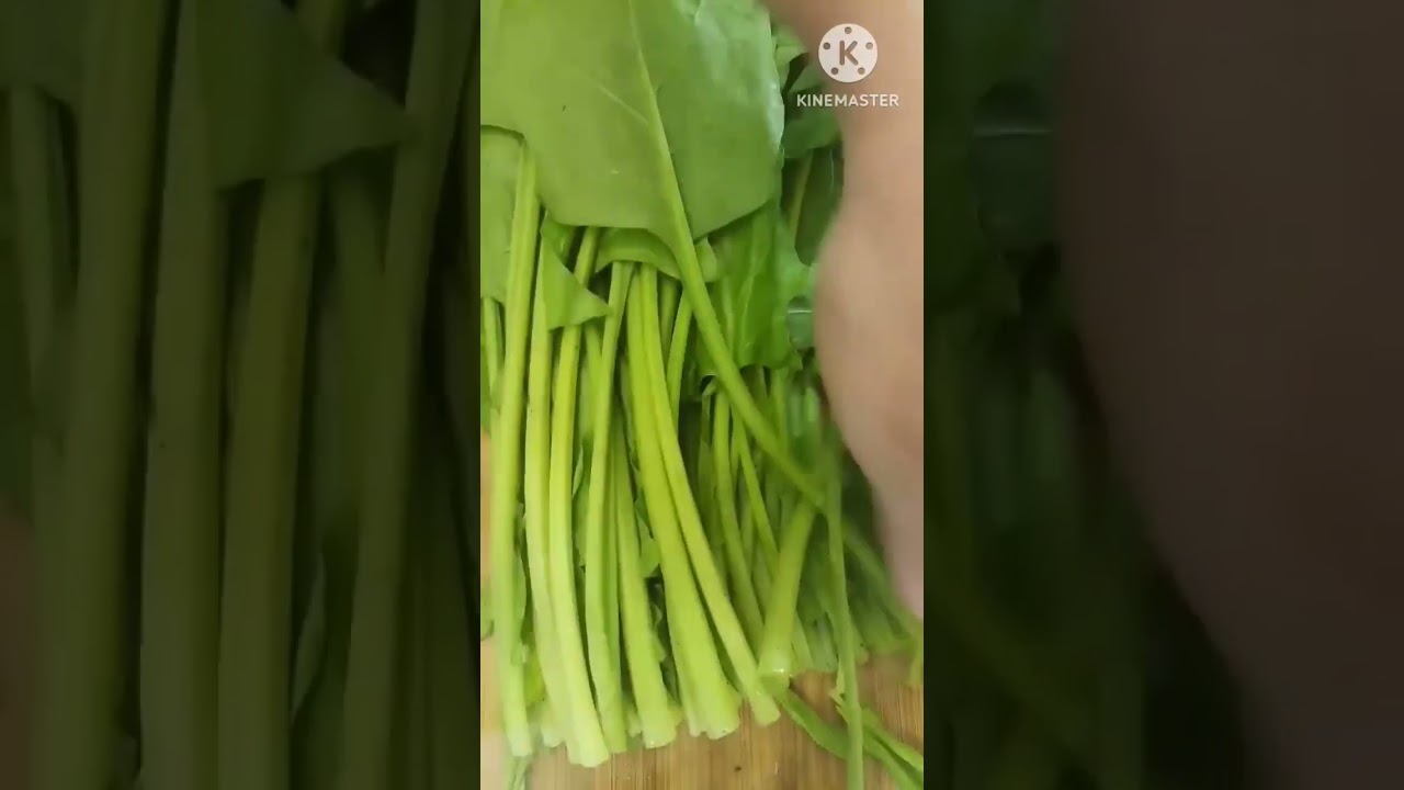 Cutting Spinach roots#refixing#cutting spinach for cooking#oddlysatisfying#shorts
