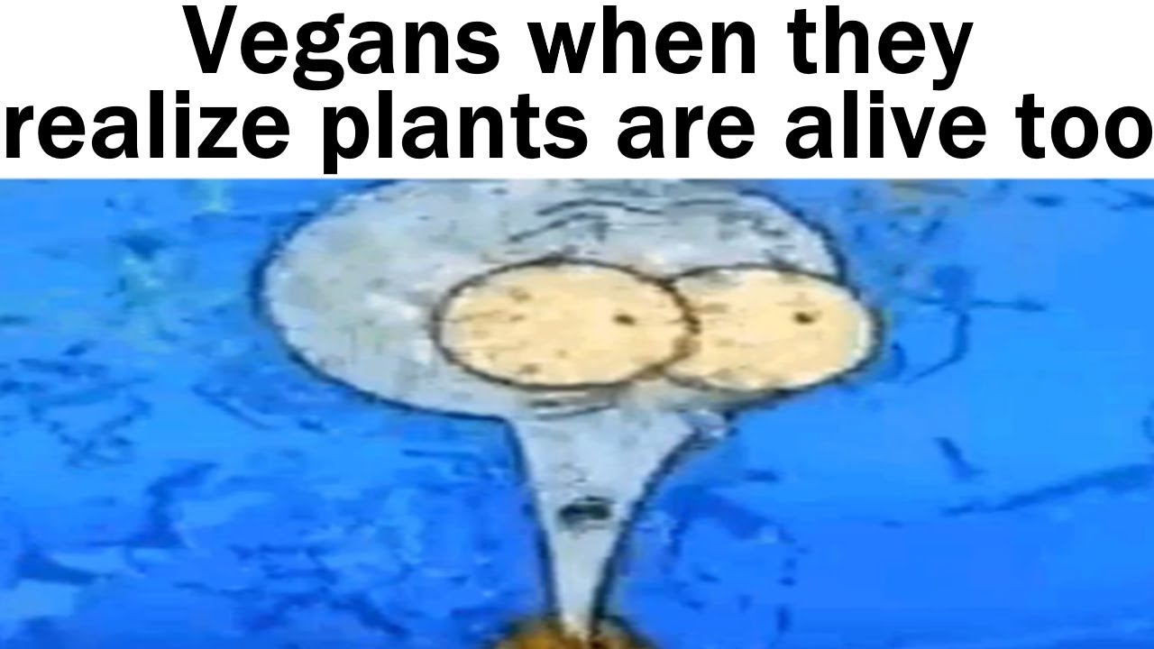 Daily Juicy Memes 1068+1069
