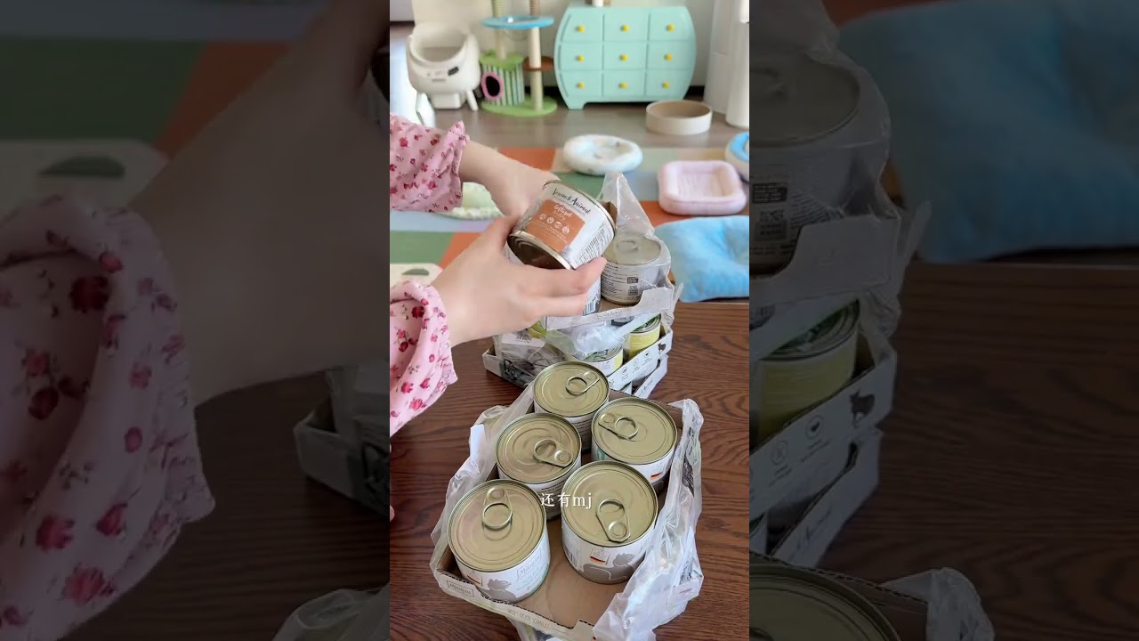 Unboxing Surprise: Kitten Express Delivery Adventure