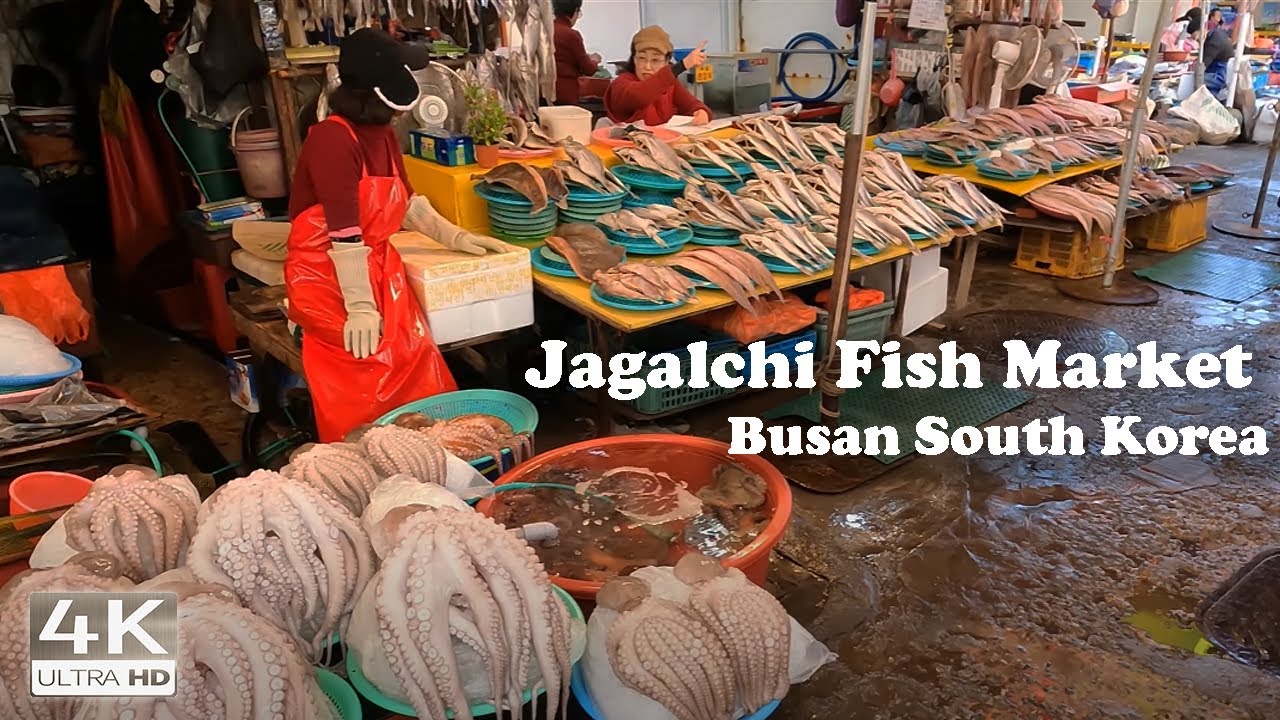 BUSAN | Fish Market Tour (Jagalchi), South Korea | Walking tour 4K