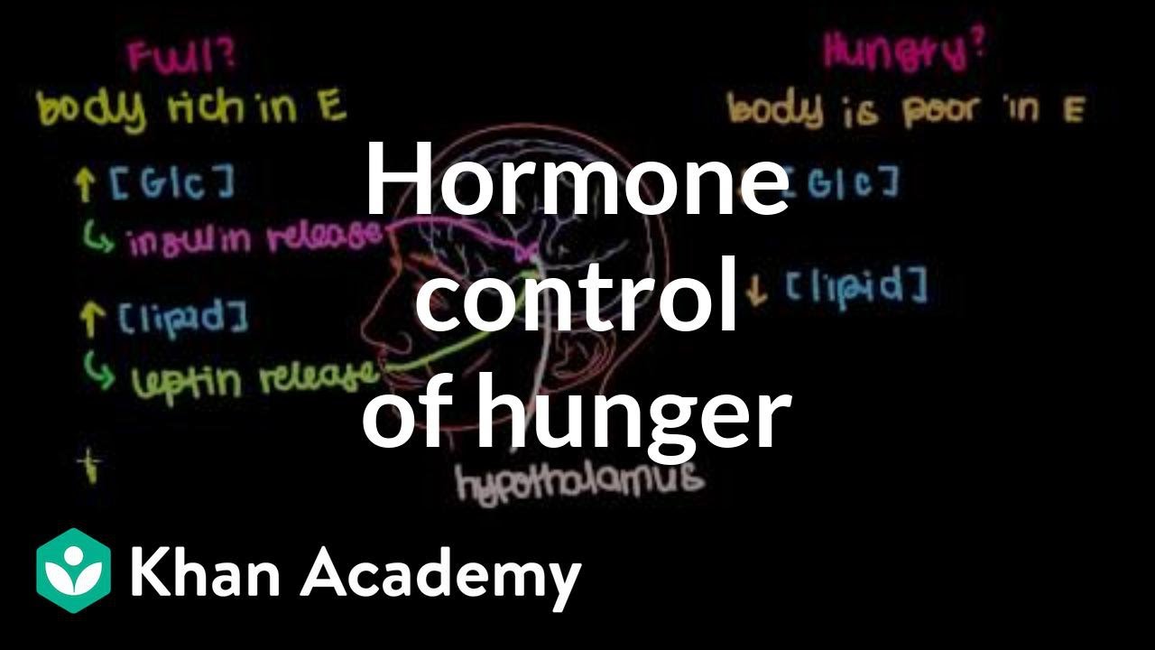 Hormone control of hunger
