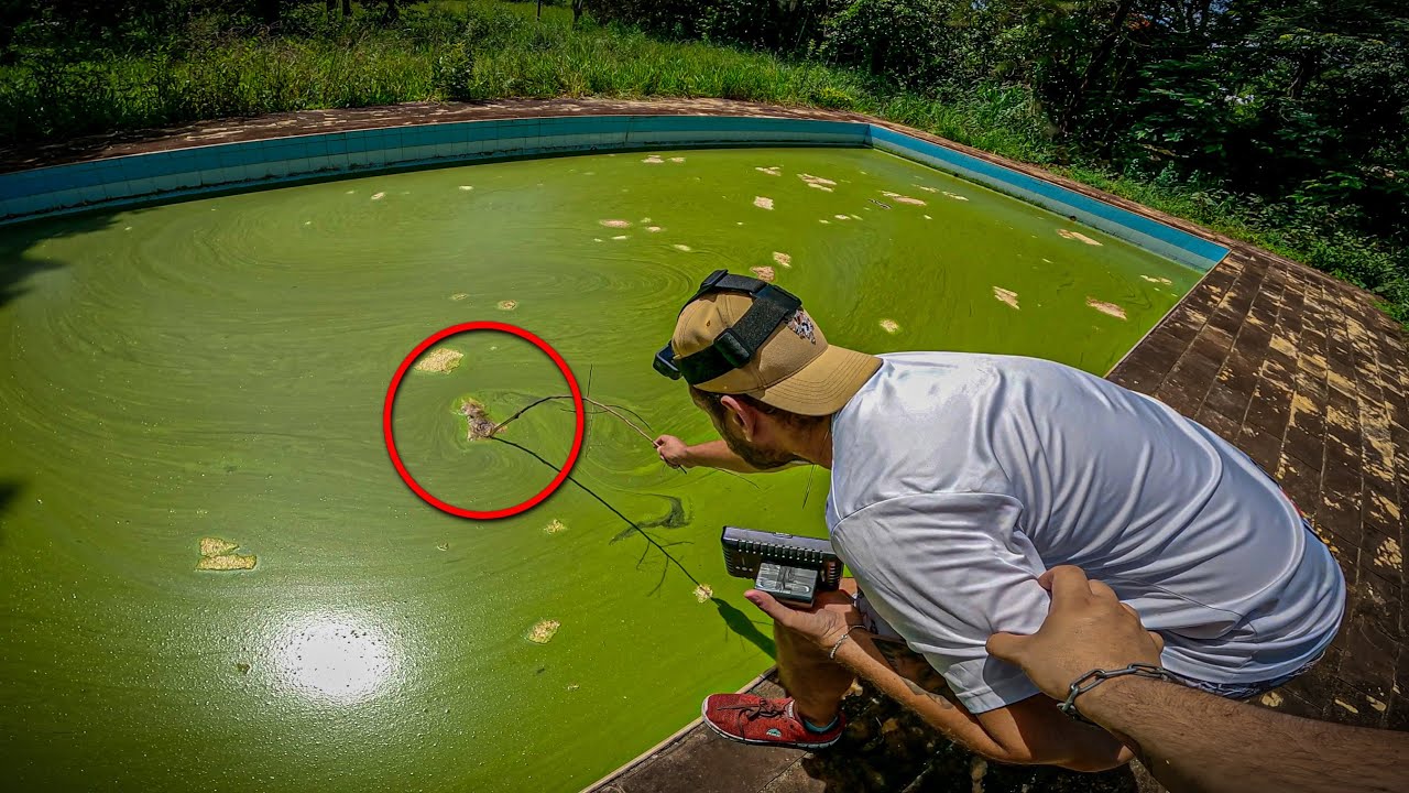 RESTOS M0RTAIS FORAM ENCONTRADOS NA PISCINA DESSA TERRÍVEL MANSÃO ABANDONADA !!