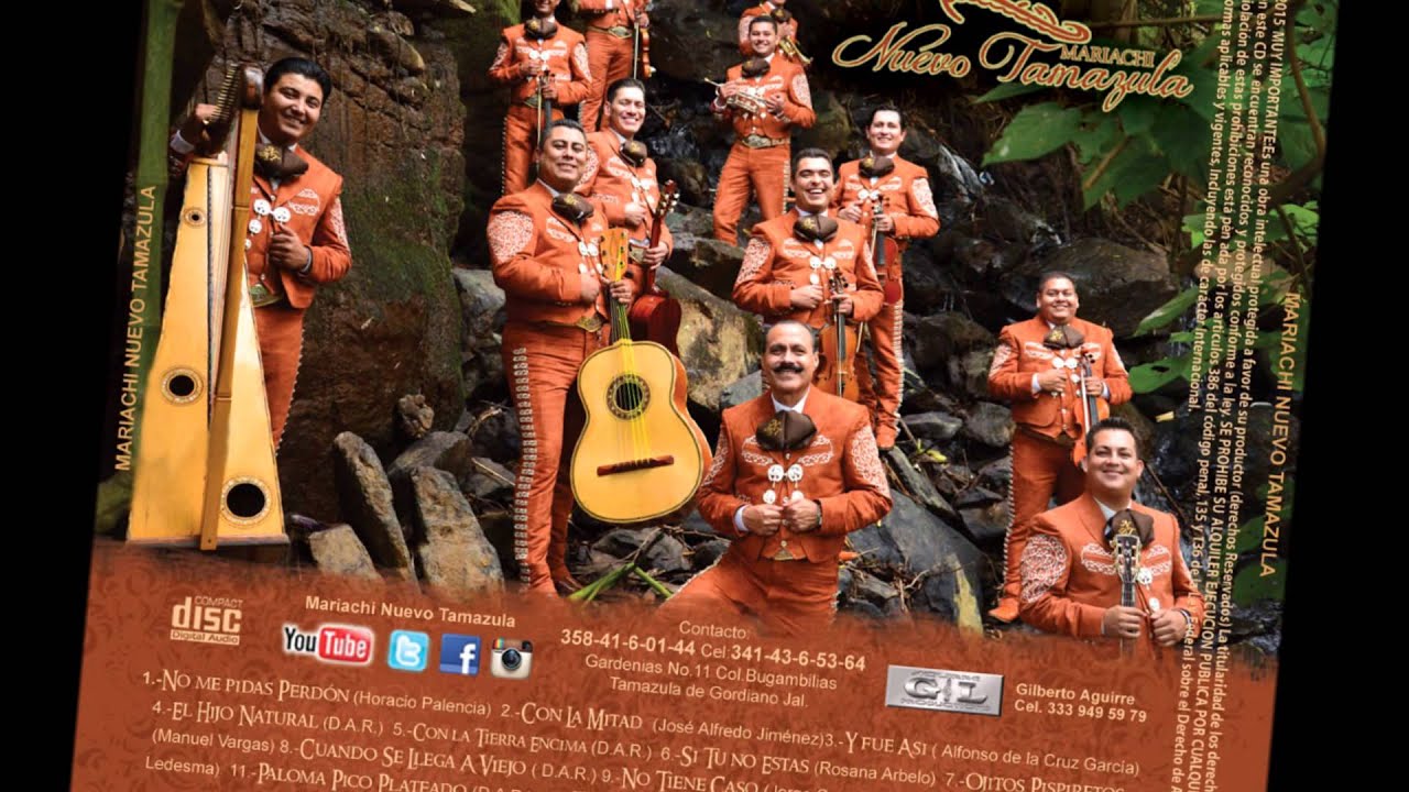 Tu De Que Vas(version mariachi)10 Cd-Mariachi Nuevo Tamazula