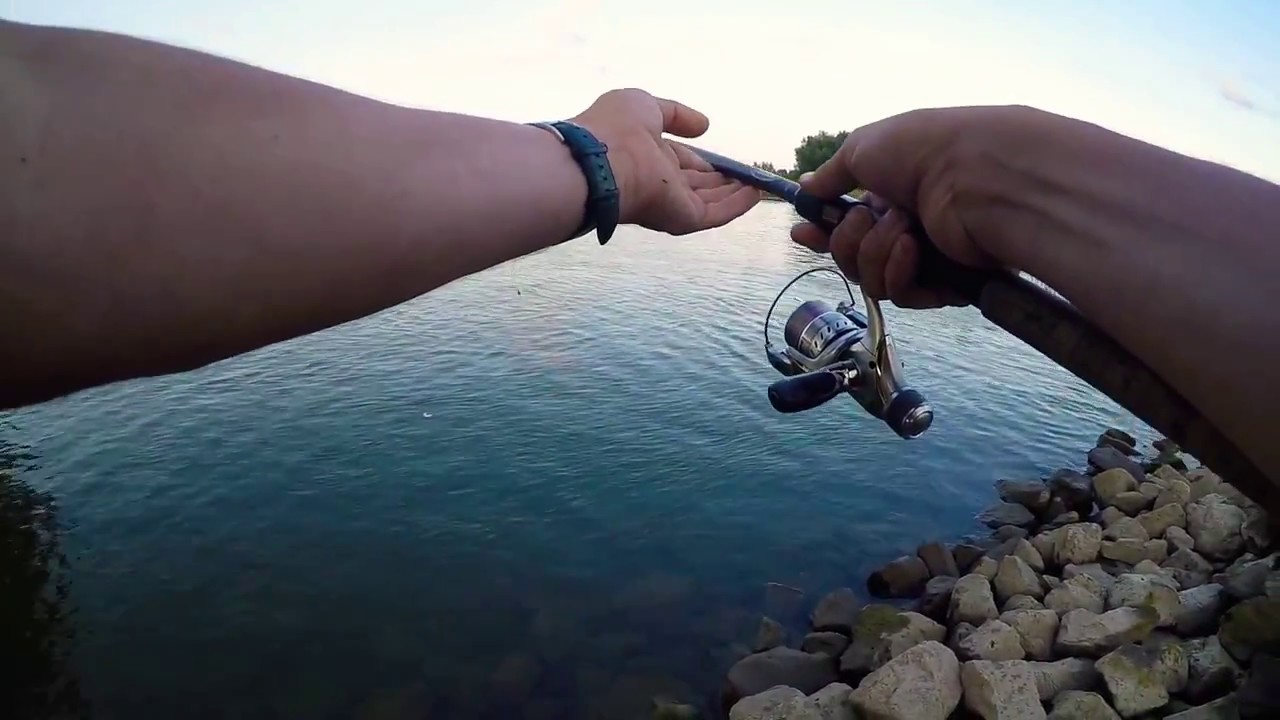 Dril van barbeel op rivier de IJssel matchhengel! GoPro Hero 4 Silveredition!