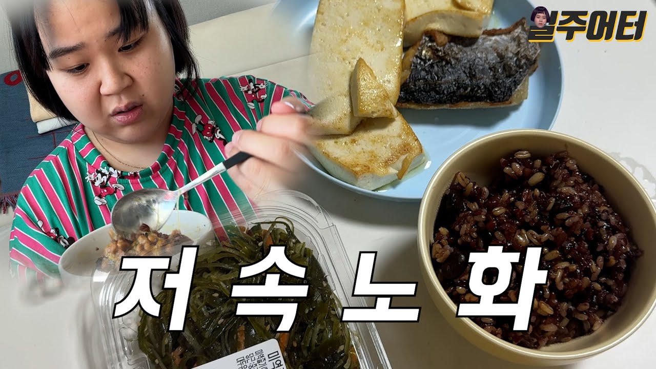 콩 싫어하는데 자꾸 콩밥 먹으래요. 저속노화 다이어트!