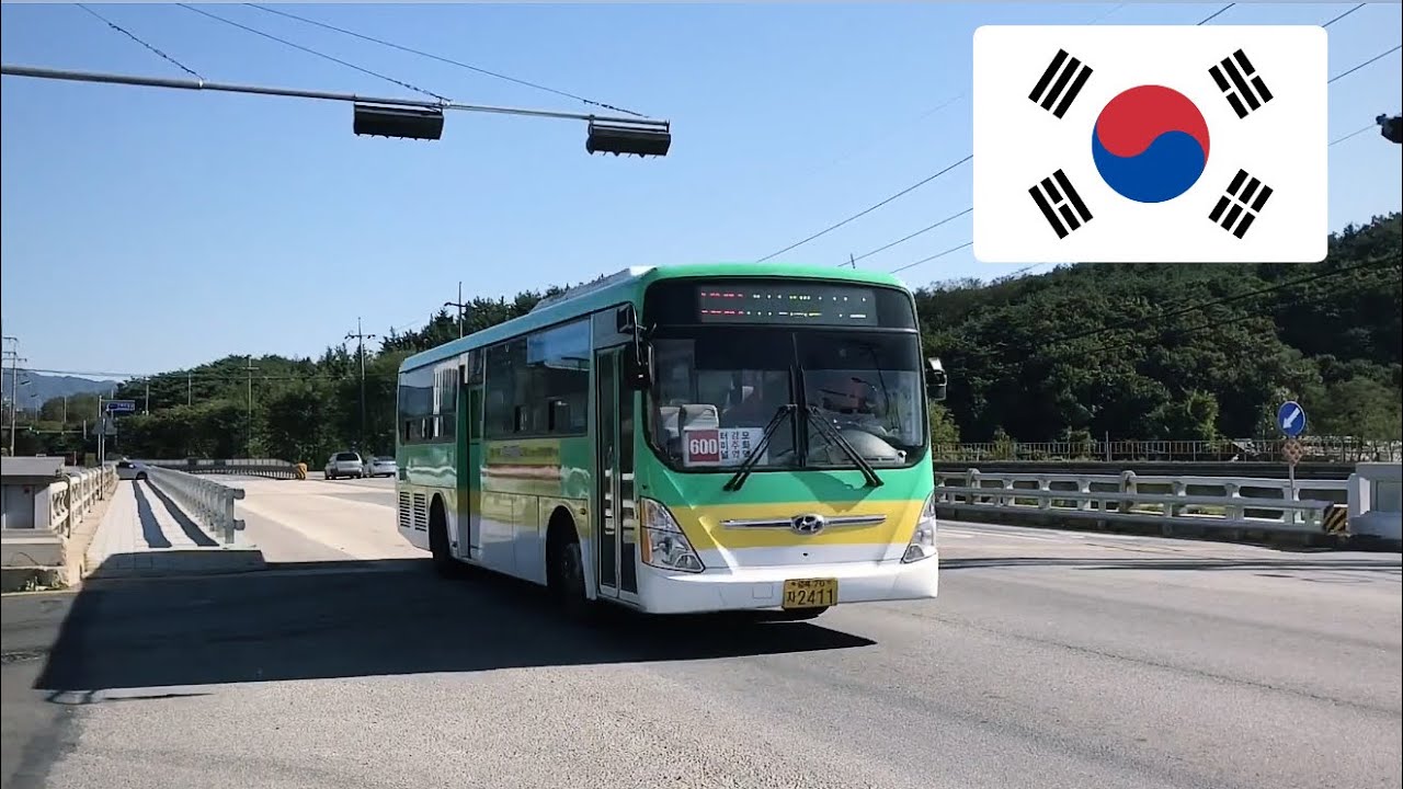 🇰🇷 버스 서울, 경주 & 동해 Buses of South Korea (Seoul, Gyeongju & Donghae)