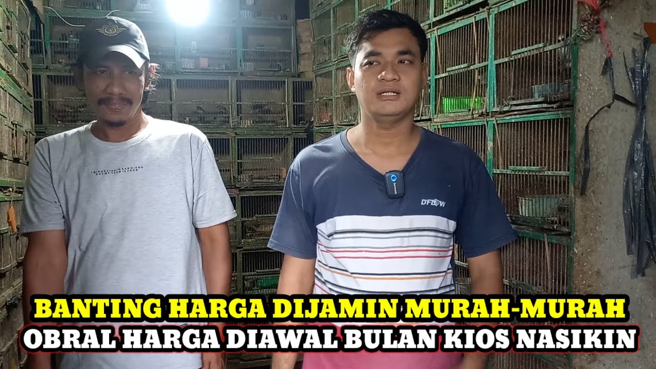 BANTING OBRAL HARGA DIJAMIN MURAH-MURAH DIKIOS NASIKIN PASAR BURUNG PRAMUKA TERBARU HARI INI