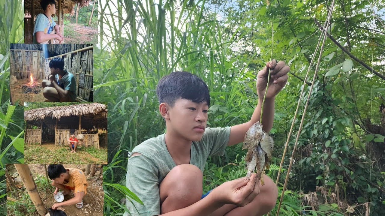 Full video of the little boy's livelihood