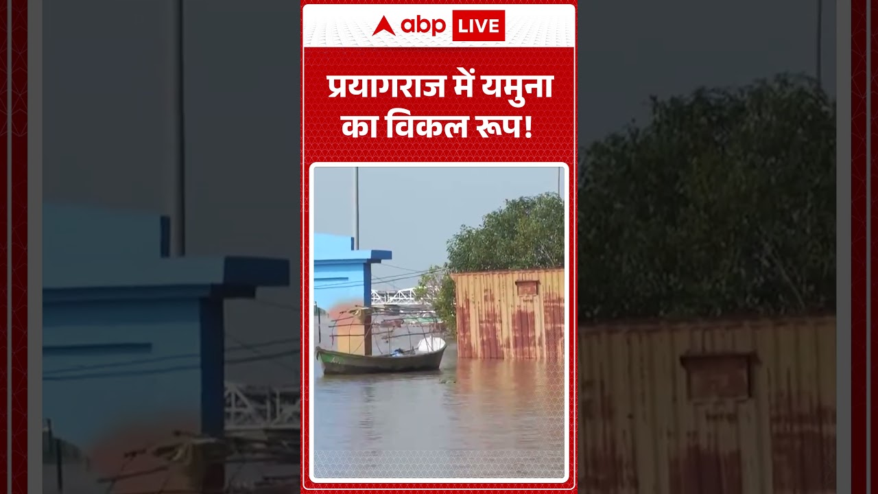 Uttar Pradesh Flood Update: Prayagraj में यमुना का विकल रूप! बड़ा बाढ़ का खतरा | ABP LIVE | SHORTS