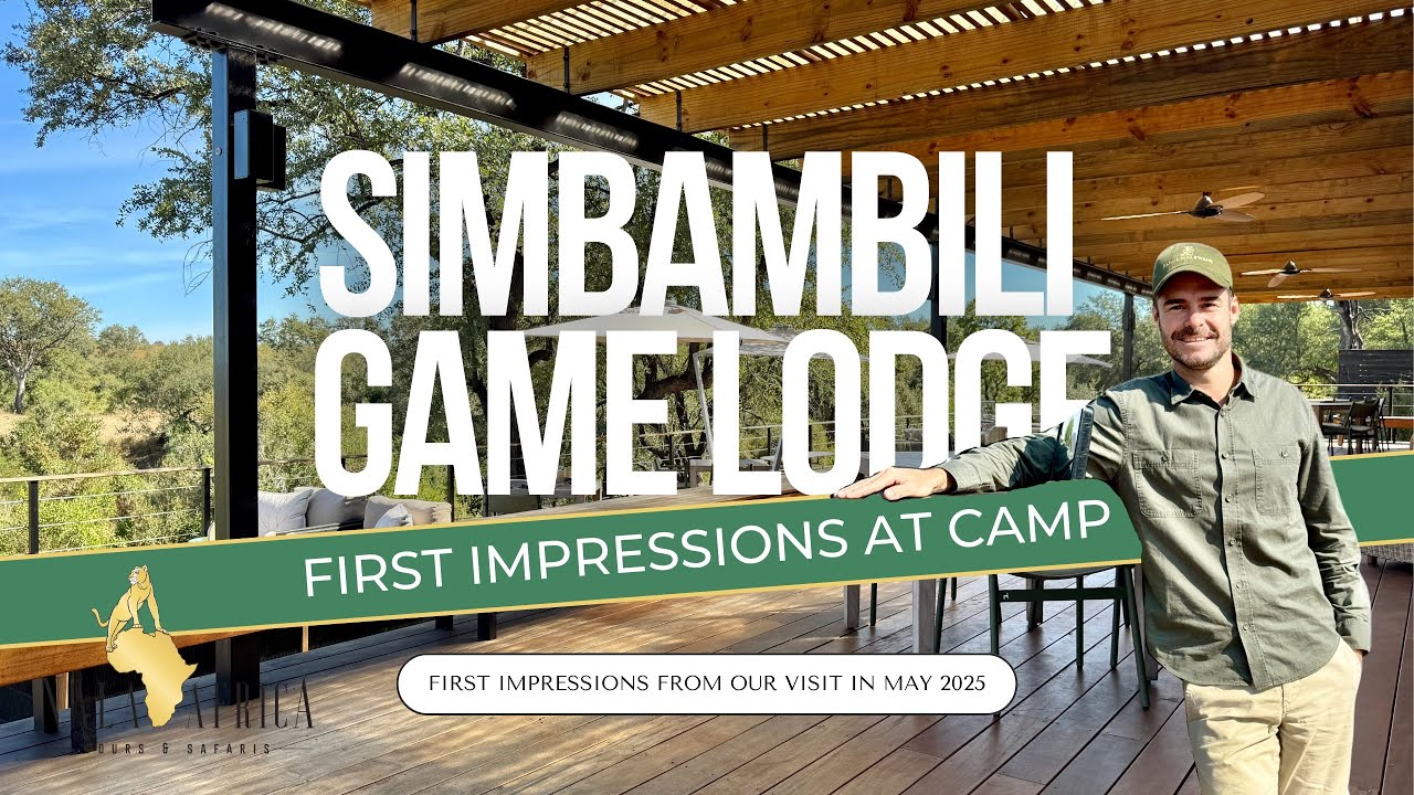 Simbambili Game Lodge (Sabi Sands Game Reserve) - First Impressions 🐾