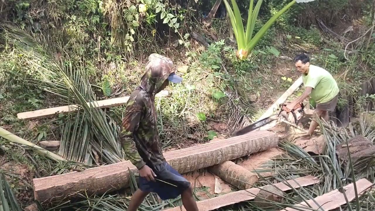 Kerja blusukusan kaya jokowoki di kolam lele jatisawit kaliwungu
