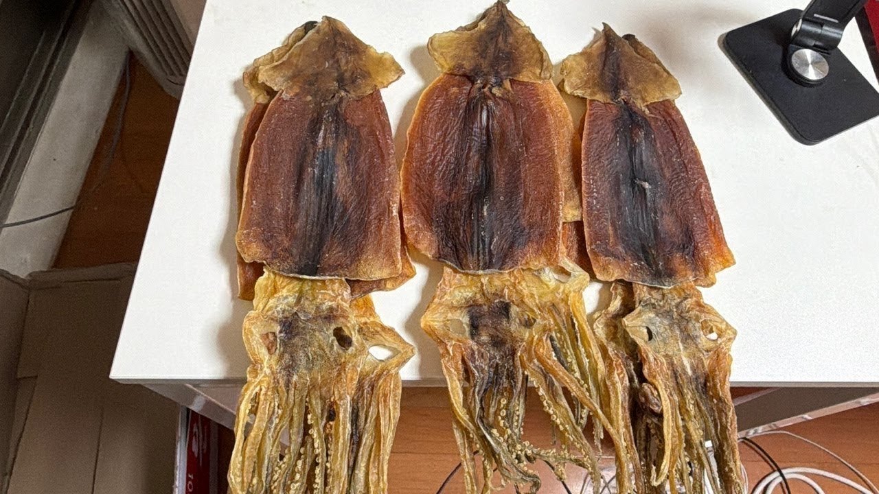 독도오징어