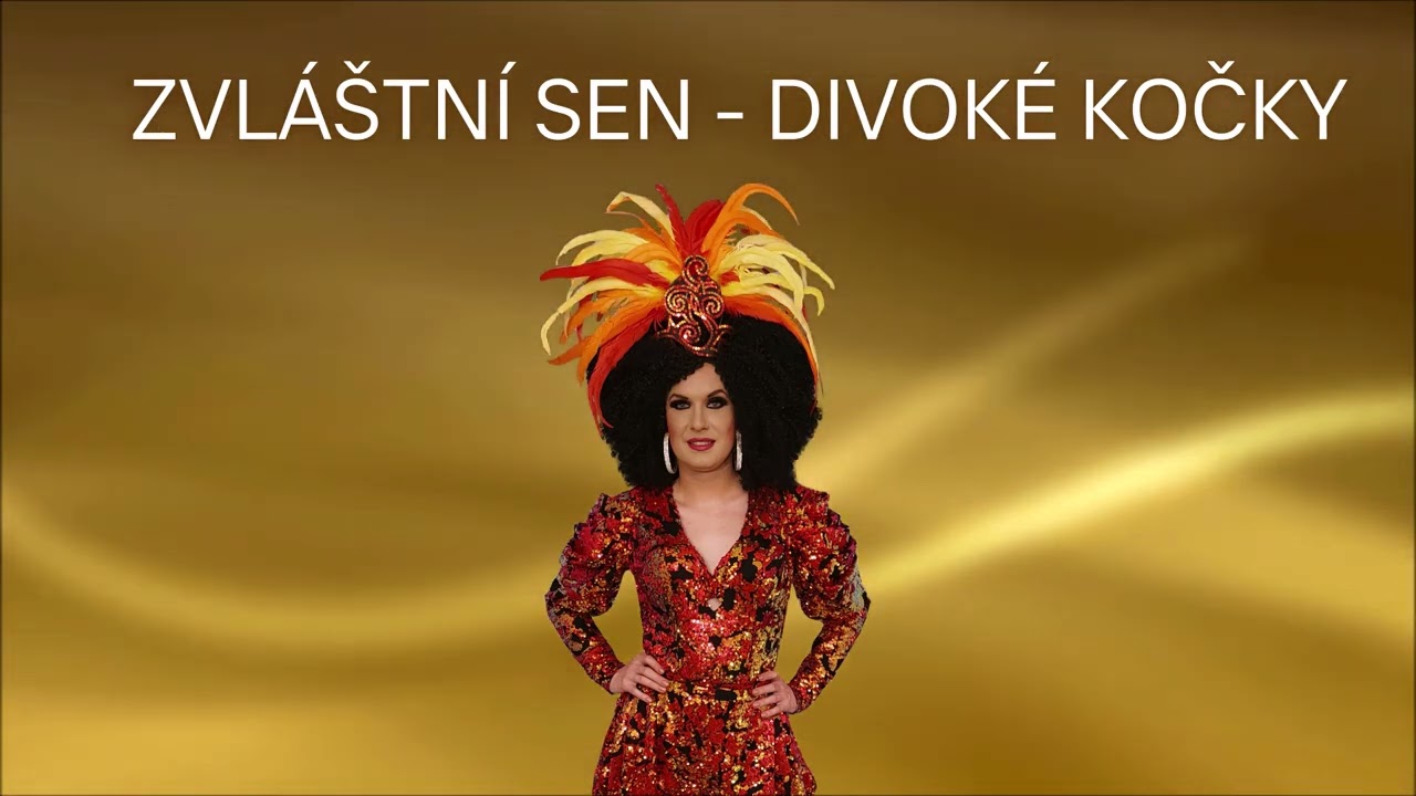 Zvláštní sen - Divoké kočky
