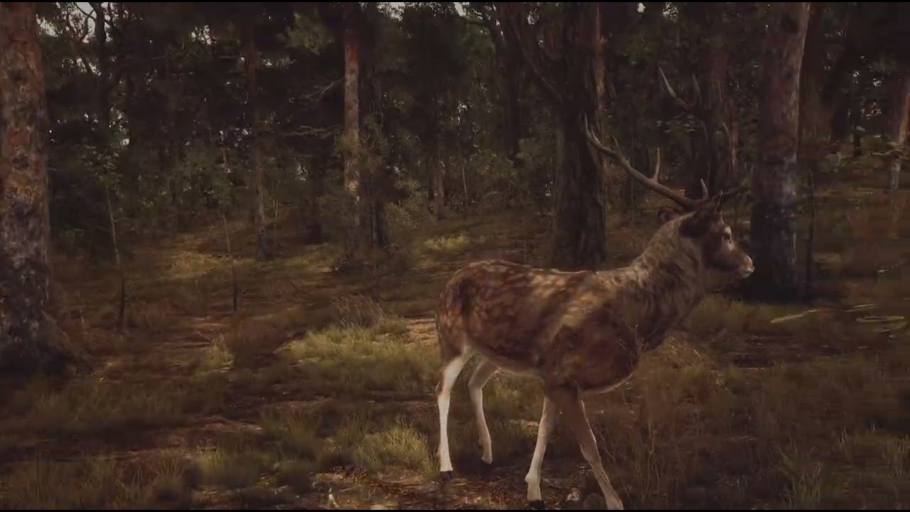 Way of the Hunter 5 Star Sika Deer 🦌🏹🎯😇 Matariki