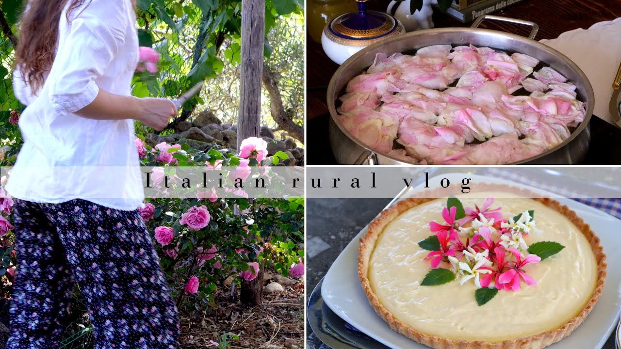 Enjoying my pink rose in a different way. From garden to table | Italian rural vlog | Slow living