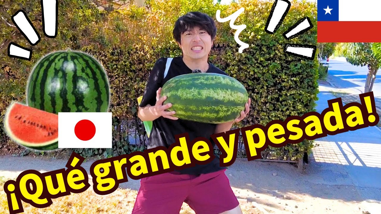 JAPONÉS prueba SANDÍA con harina tostada y MELÓN por primera vez en Chile