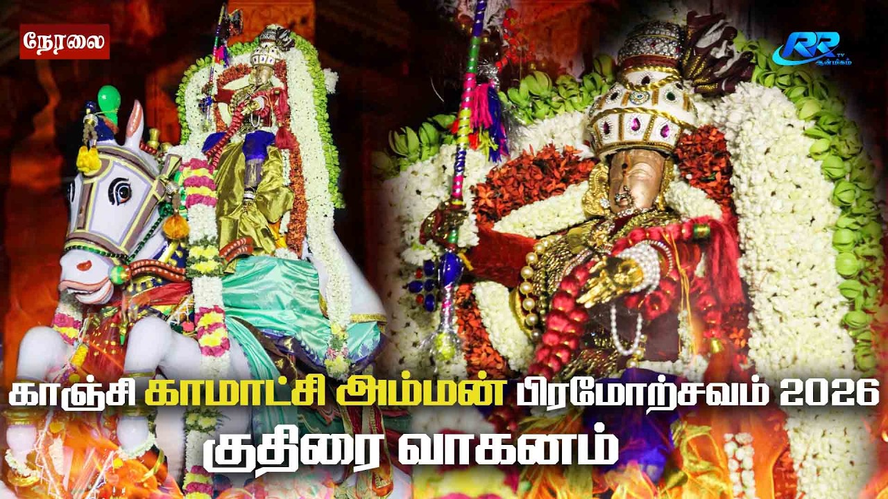 LIVE :குதிரை வாகனம் காஞ்சி காமாட்சி அம்மன் கோவில் பிரம்மோற்சவம் 2026 நேரலை@RR tv