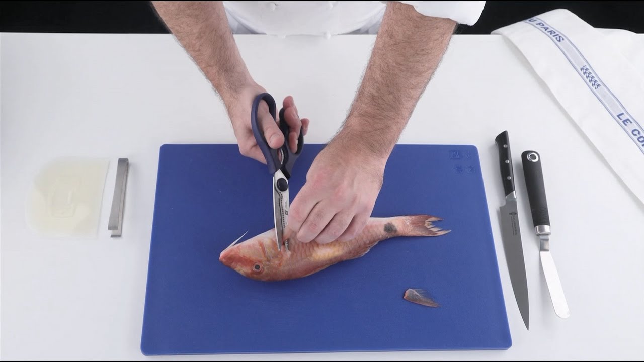 How to clean and fillet a round fish - Le Cordon Bleu