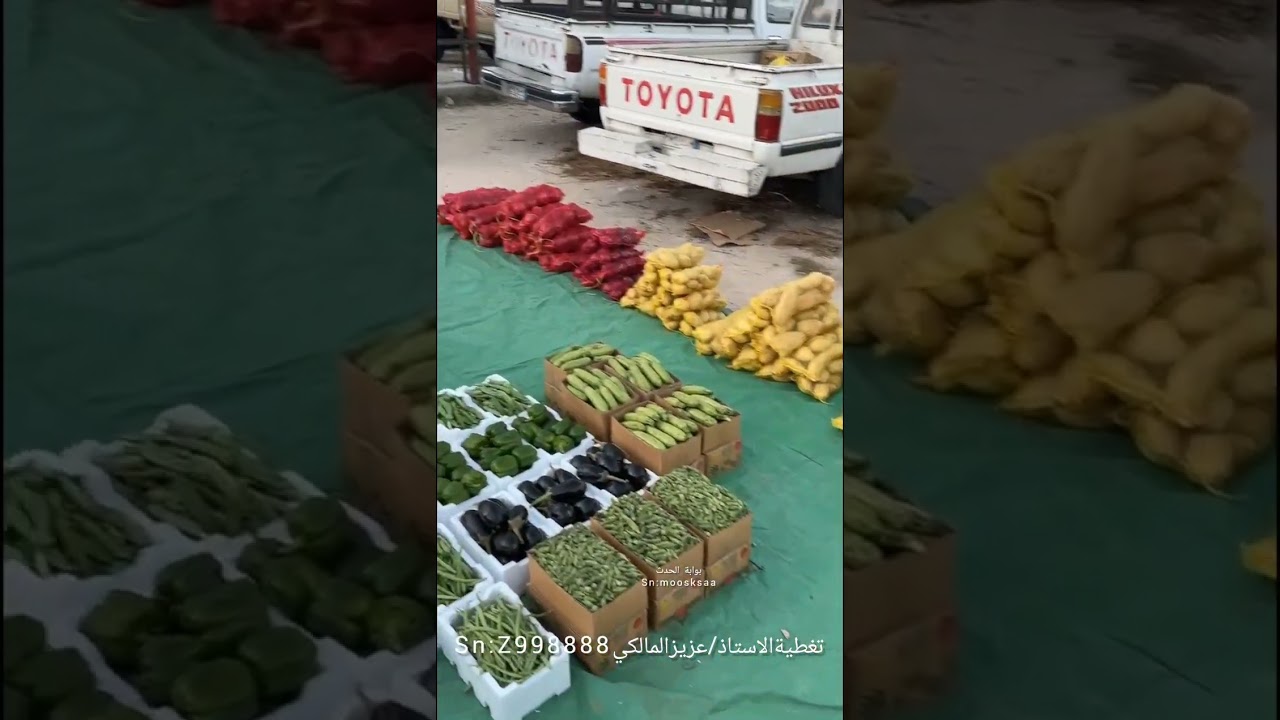 تغطية سوق الخميس الشعبي بصيادة بني مالك ليوم الخميس ١١ جمادى الاخرة ١٤٤٦هـ الموافق ١٢ ديسمبر ٢٠٢٤م