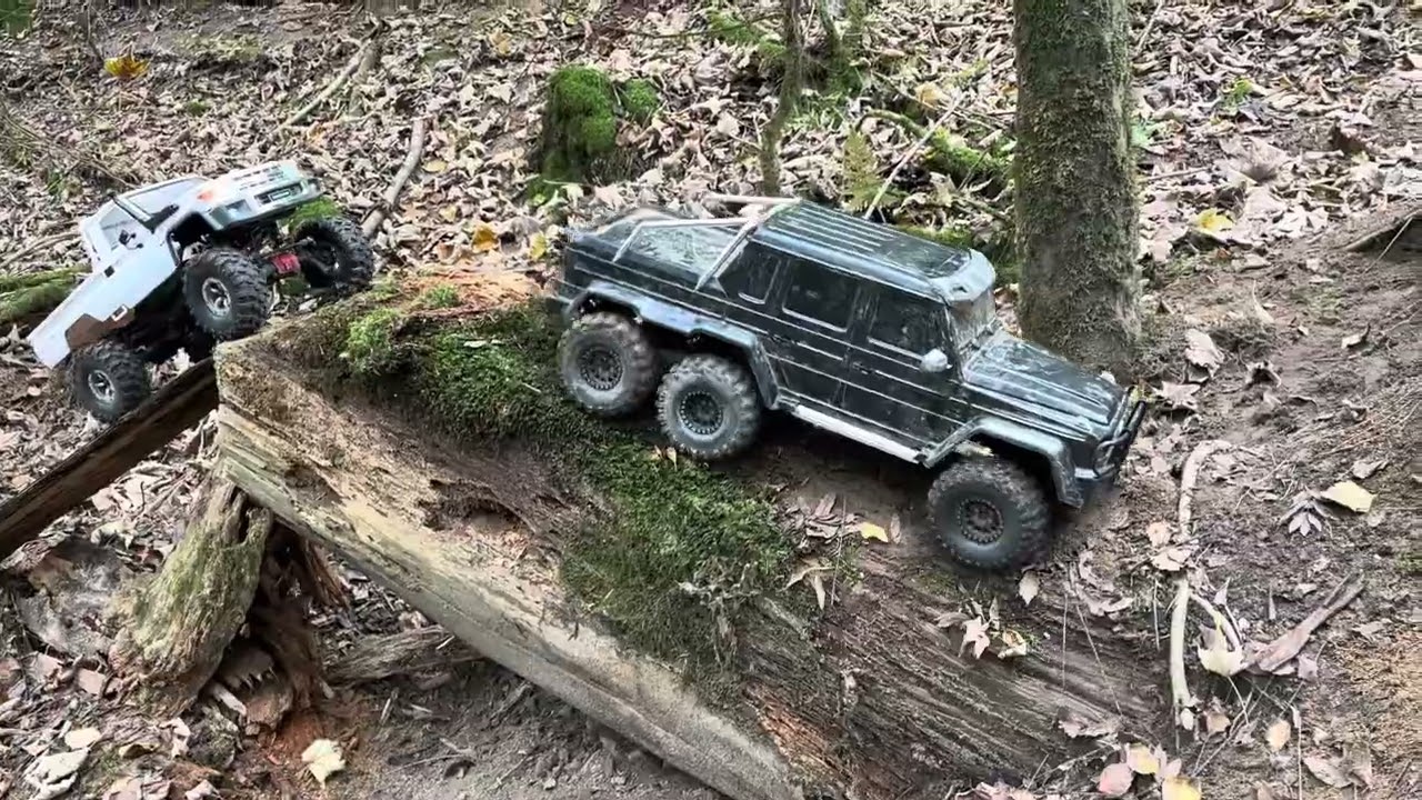 Crawler 19.10 2025