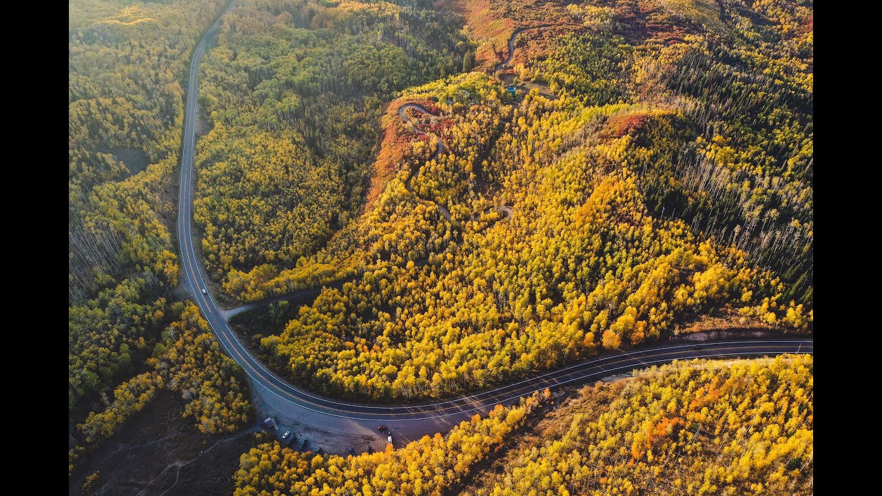 Fall on the Grand Mesa, Colorado