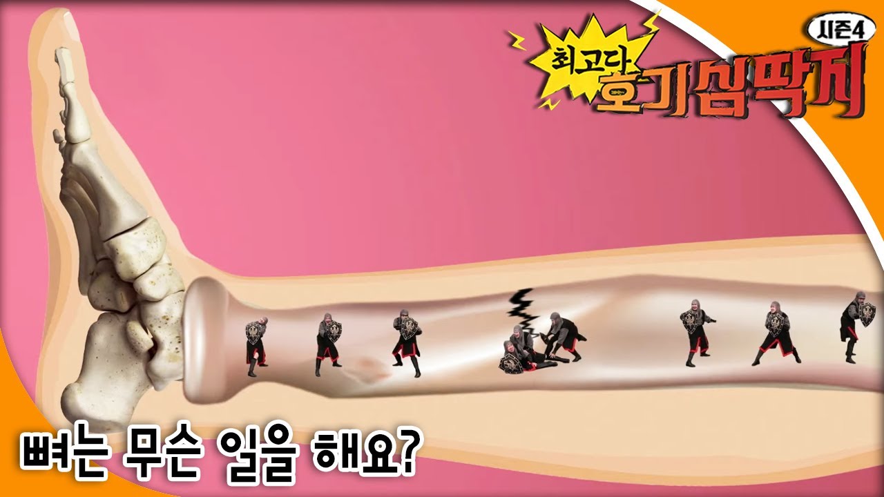최고다! 호기심딱지 시즌4 - 뼈는 무슨 일을 해요?