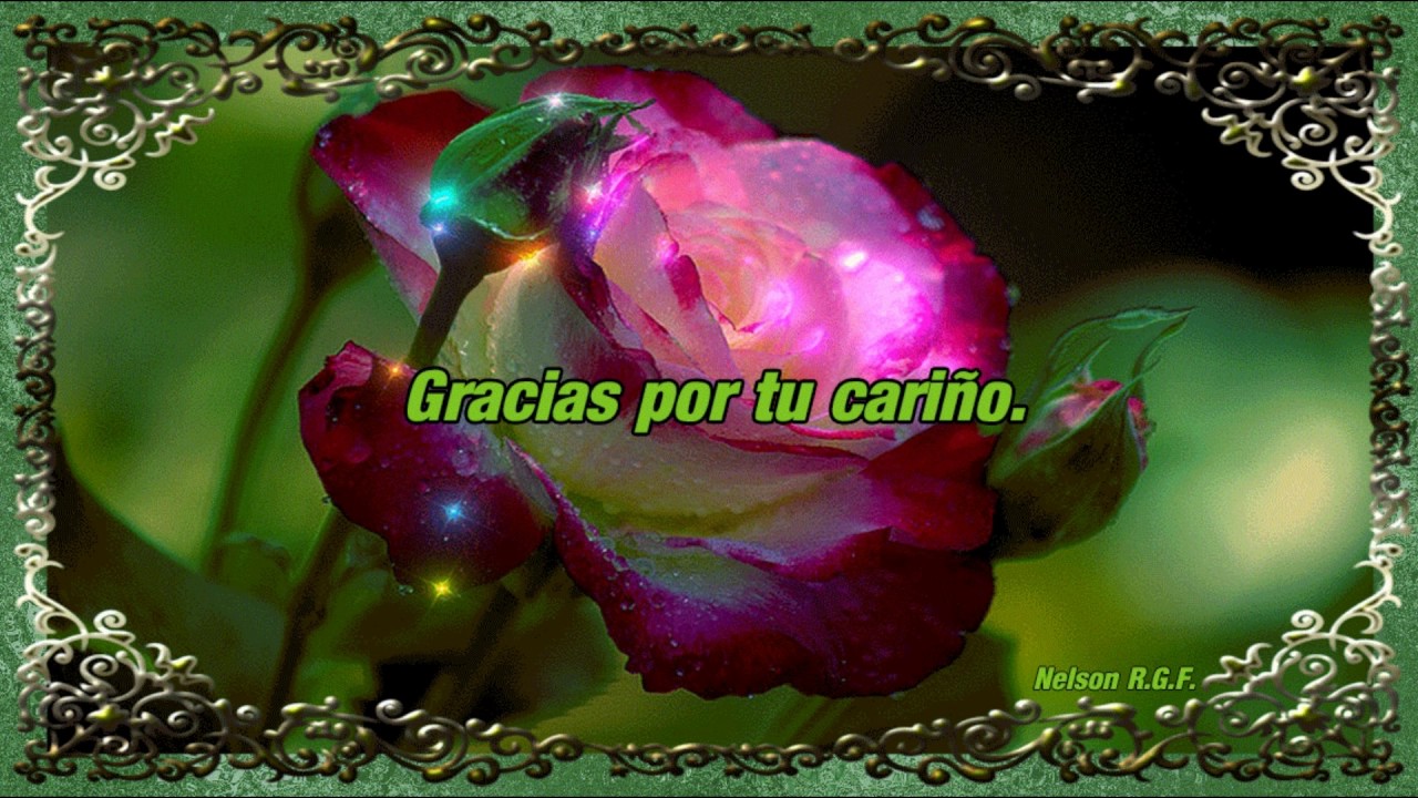 Gracias