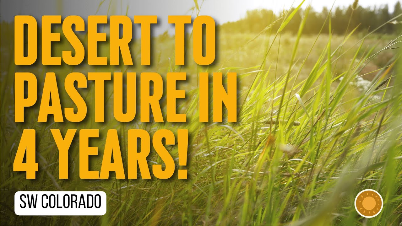 How I Regenerated High Desert into Thriving Pasture in 4 Years: 8 Steps!