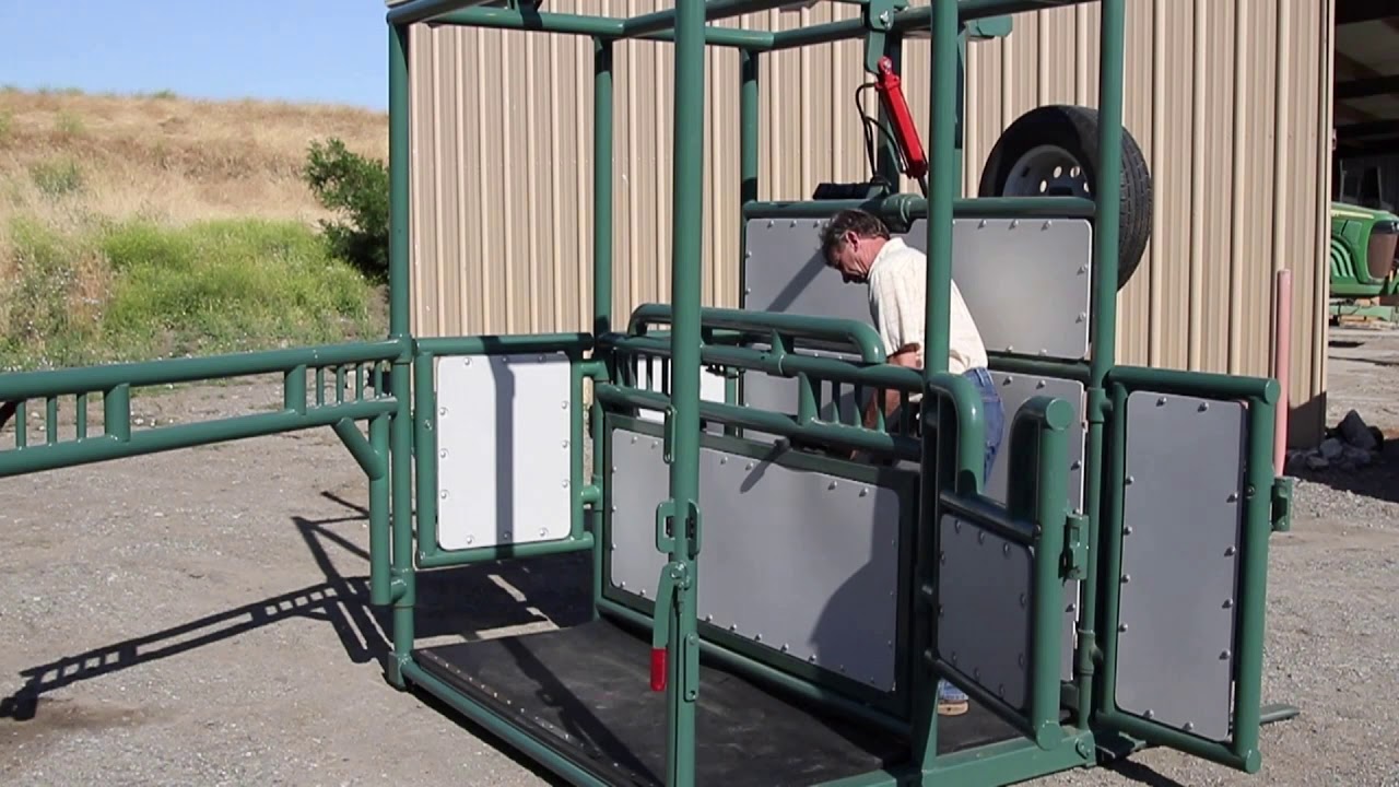 THIS-HorseStock, Mobile Equine Stock, Portable Veterinary Stock