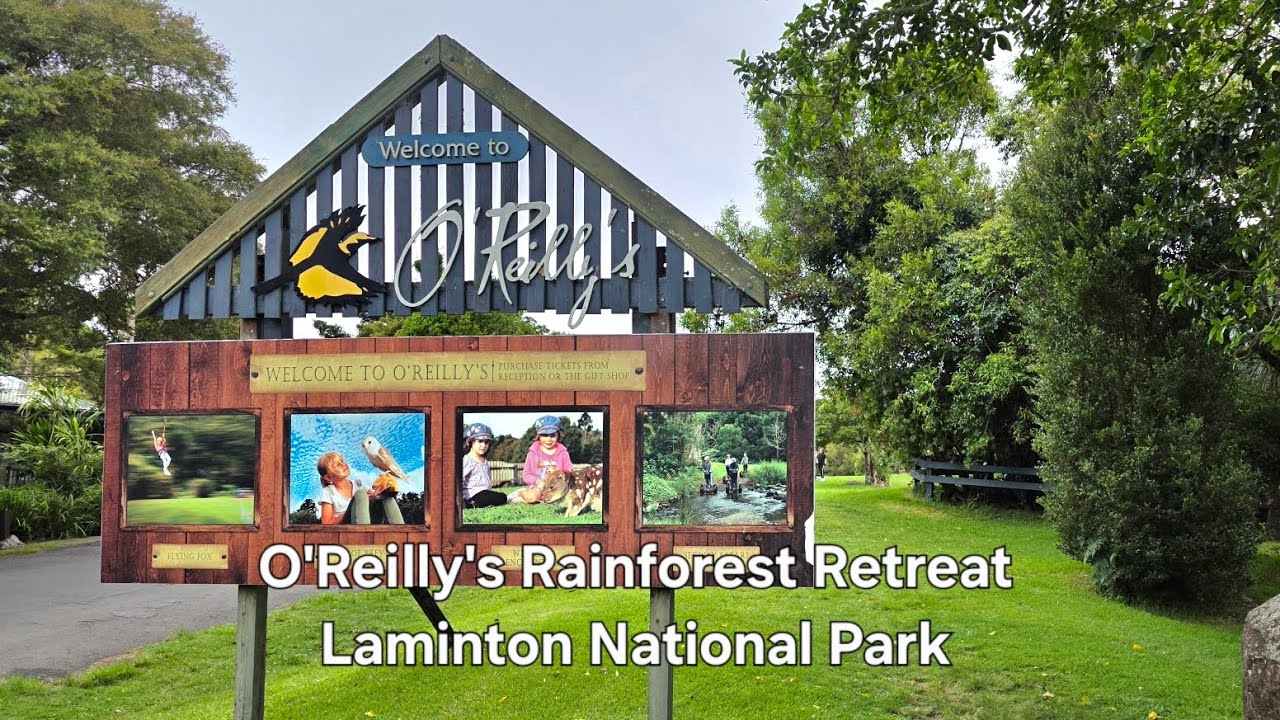 Exploring O’Reilly’s Rainforest Retreat | Lamington National Park, QLD@ChamBrisLife