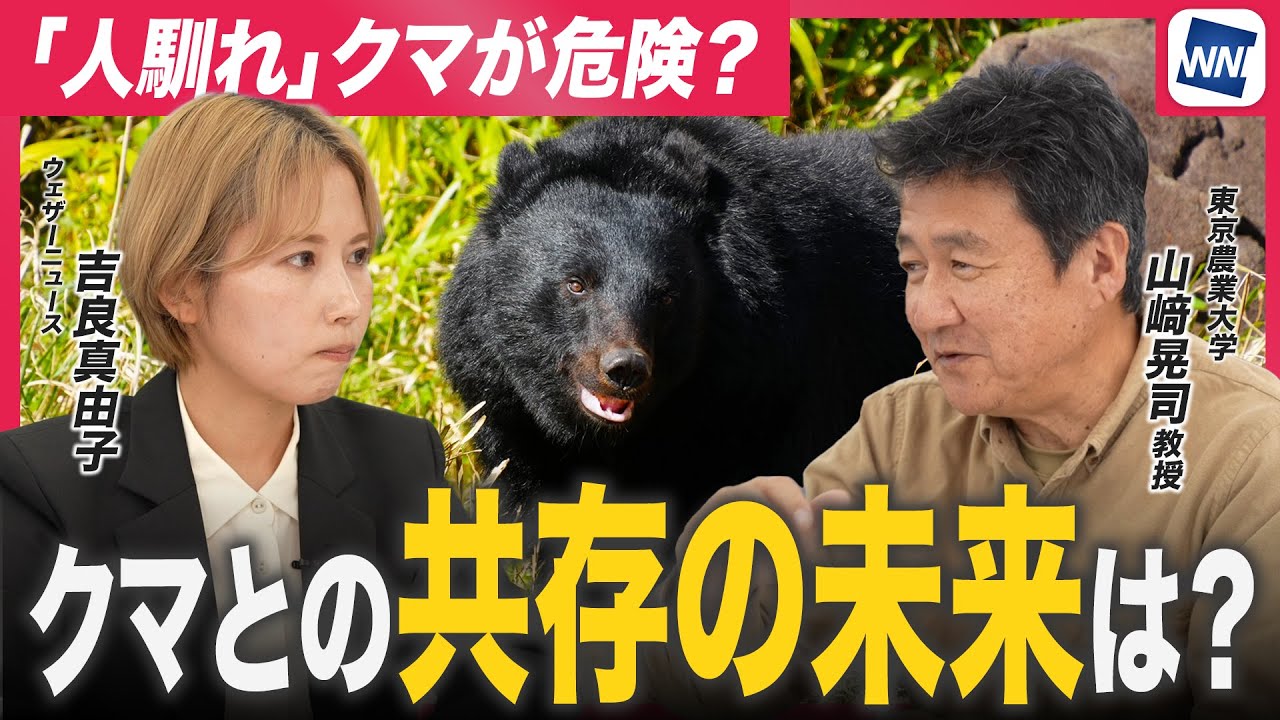 【熊の脅威はなぜ拡大？】人馴れクマの危険性 専門家が語る「共存」のリアル〈後編〉