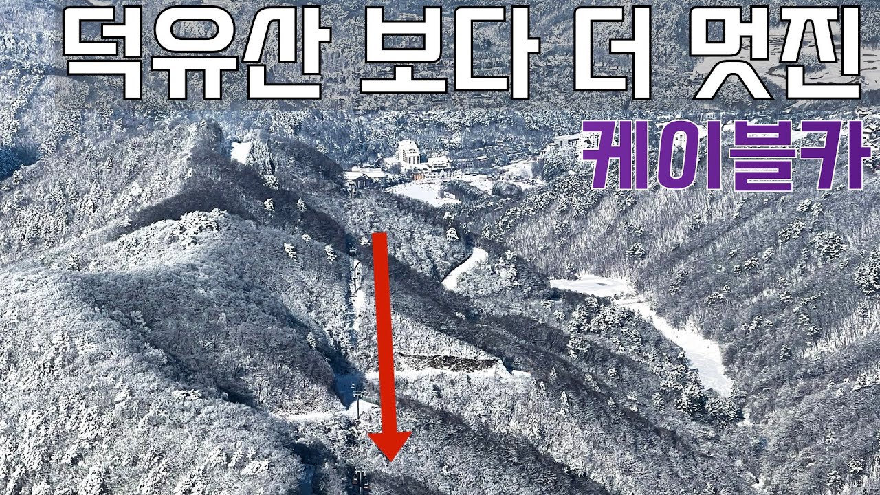 편하게 대한민국 최고의 설경을 보는 법 | 역대급 눈꽃 보여드립니다 | 발왕산 케이블카