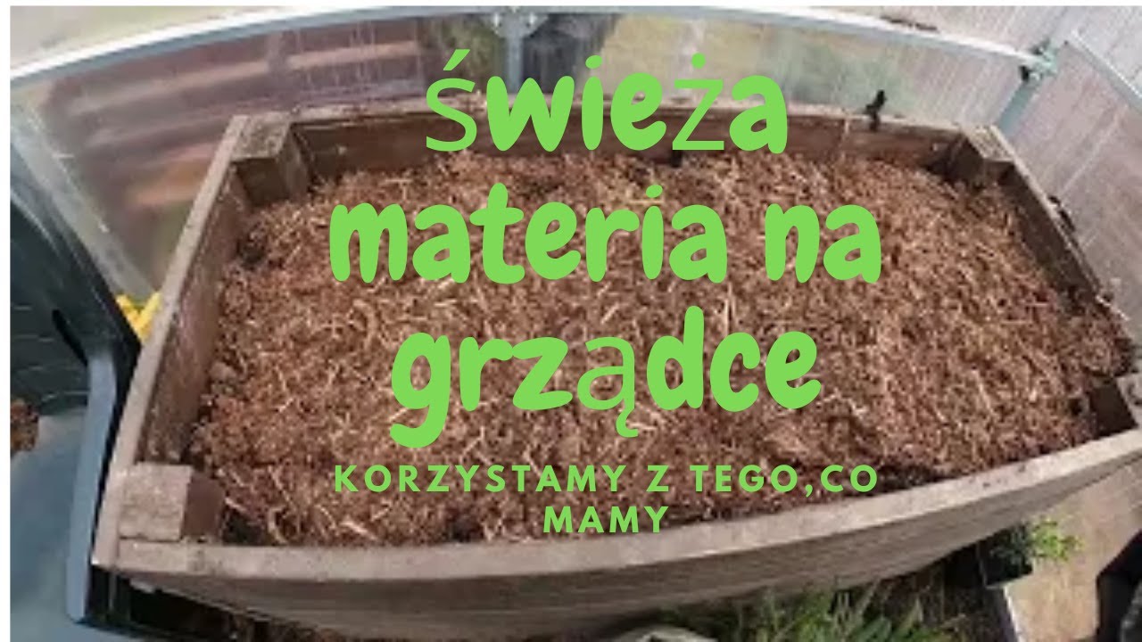 Kompostowanie bezpośrednie na grządkach.