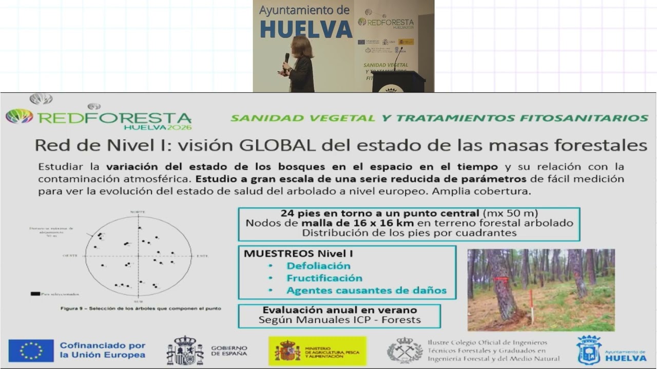 REDFORESTA HUELVA 2026 - Redes de Seguimiento de los Bosques en España (Nivel I y Nivel II).