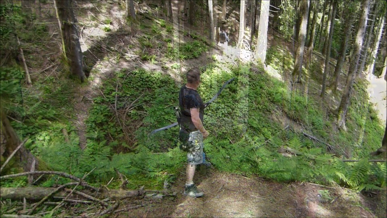 3D Bogenparcours 080617 - Hörnerbahn (Bolsterlang)