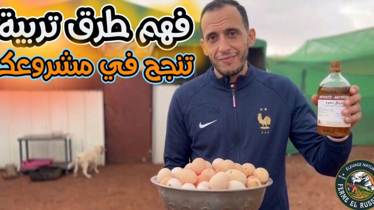 واحدة من أفضل الأعشاب لقدمنا لدجاج ليوم .لفرق بين مضاد سموم بيولوجي ومضاد سموم كيماوي وحمضي وأفضلهم 