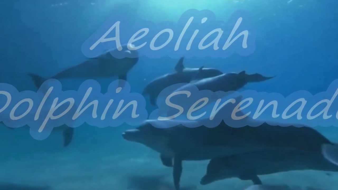 Dolphin Serenade -Aeoliah.