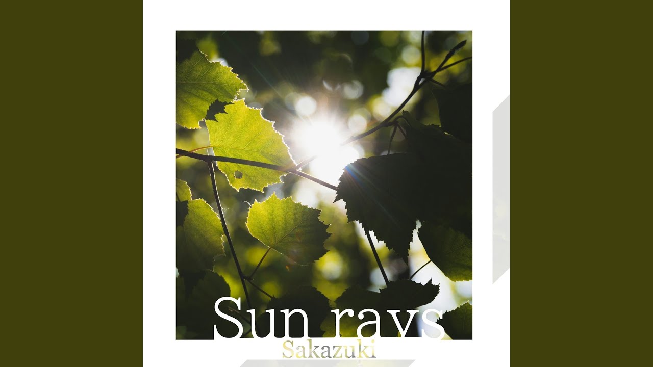 Sun rays