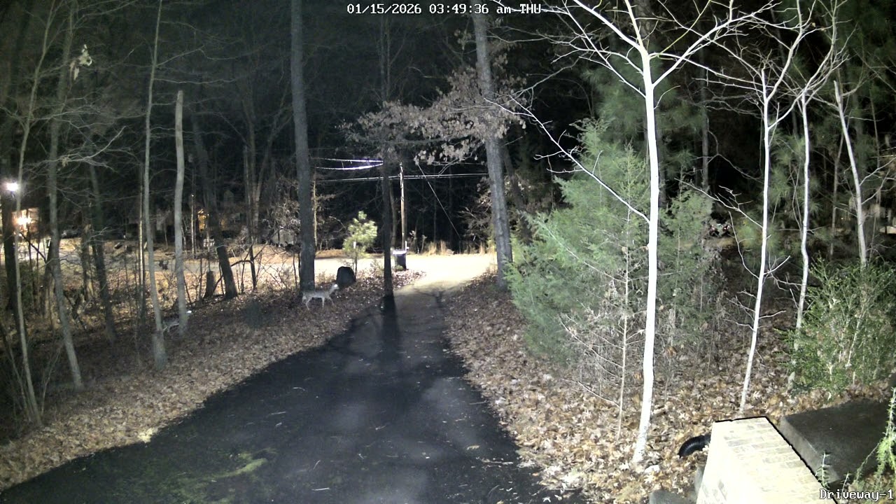 Deers 2026/01/15
