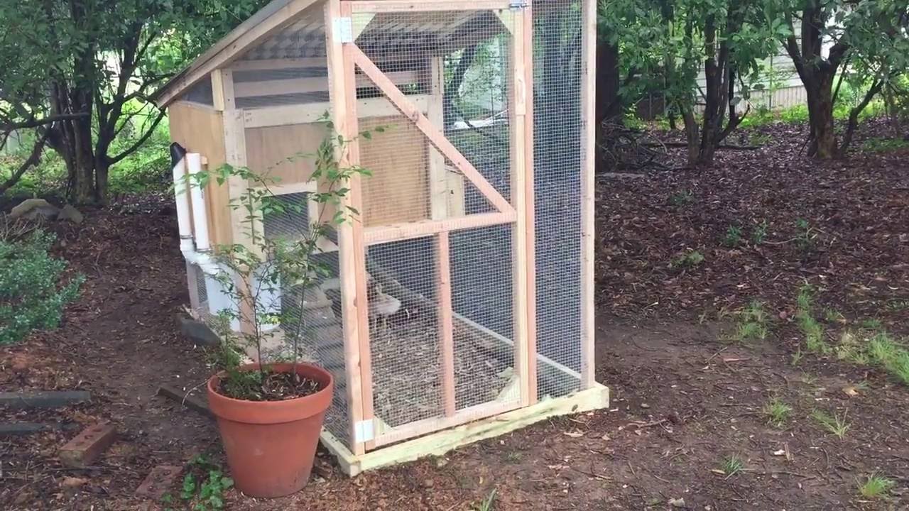 Backyard Chickens - DIY BEST easy to clean, worry-free Chicken Coop!
