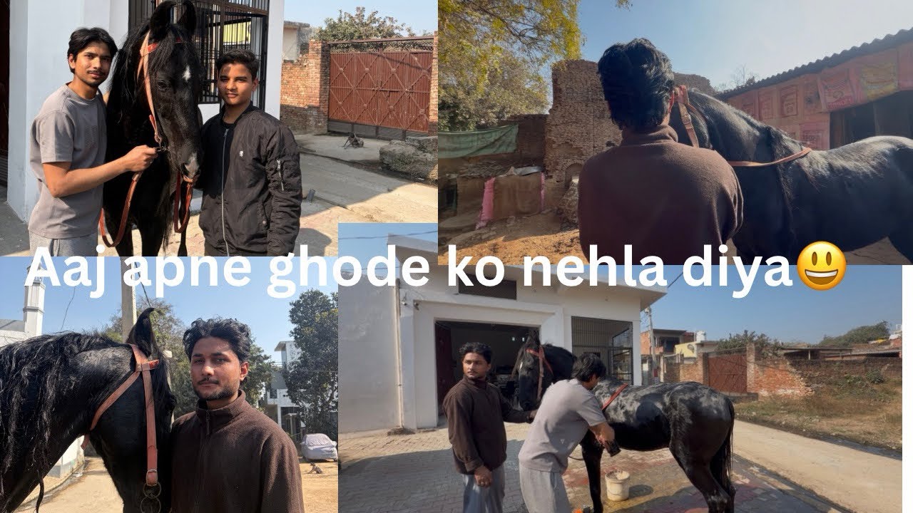 Aaj apne ghode rustam ko nehla Diya 😃