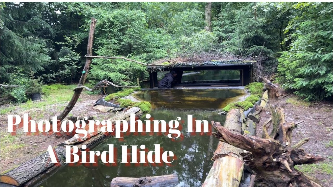 How to photograph from a Hide using Canon R7 & RF 100-500mm #birds #wildlife #photography