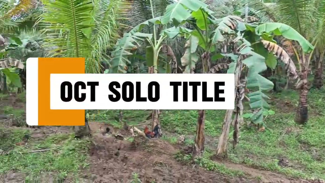 Lot#54 600k lang! may mini farm kana