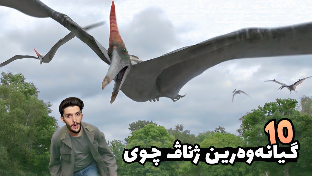 10 حيوانين مه‌ترسى الحمدلله ژناڤ چوين😱